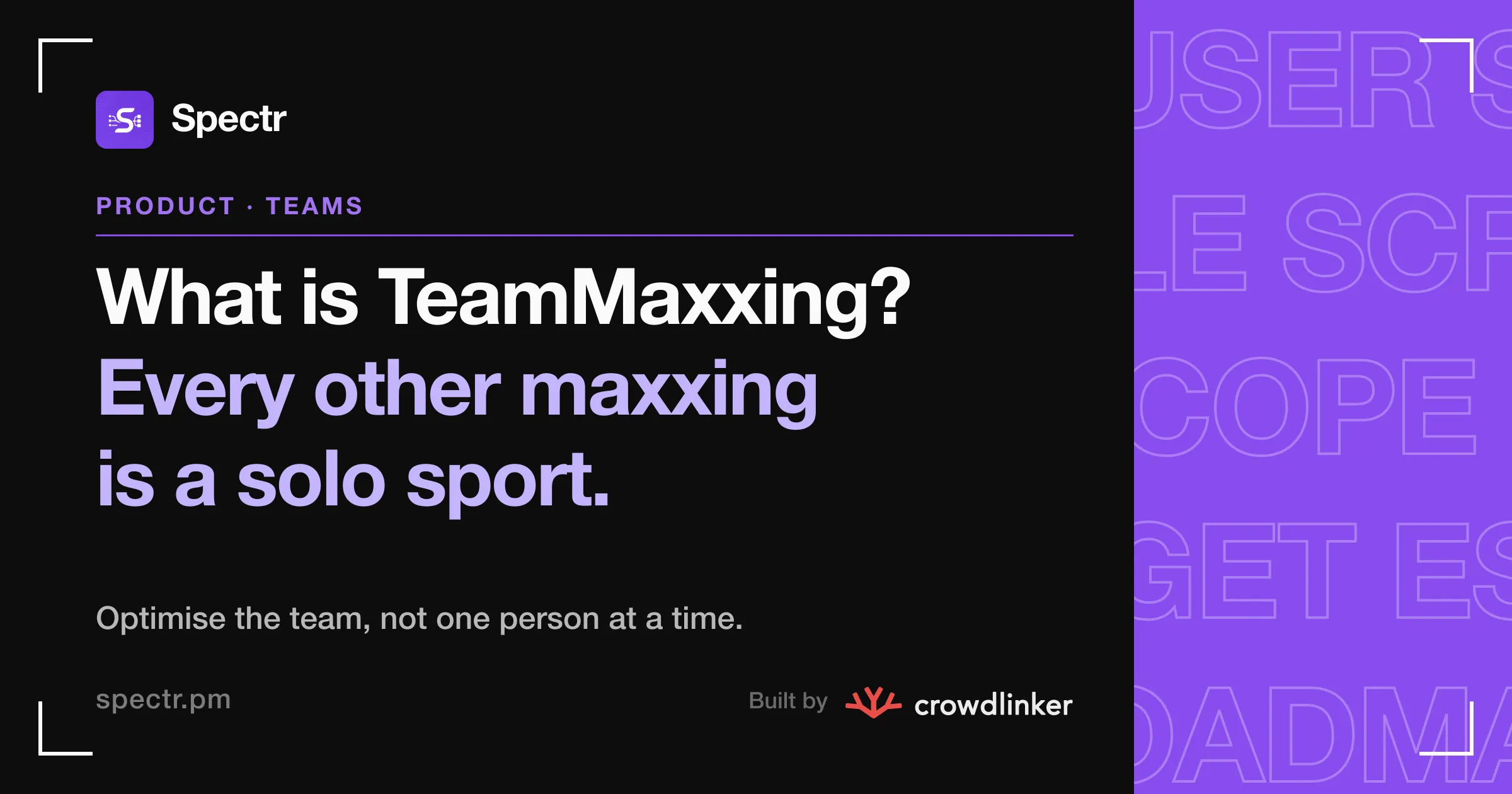 What is TeamMaxxing? Every other maxxing is a solo sport.